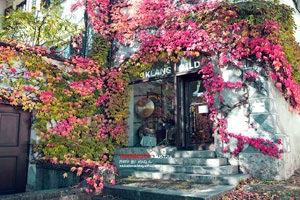 国际足球风波不断，欧国联赛事精彩连连