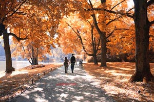 西班牙大胜格鲁吉亚，晋级领跑